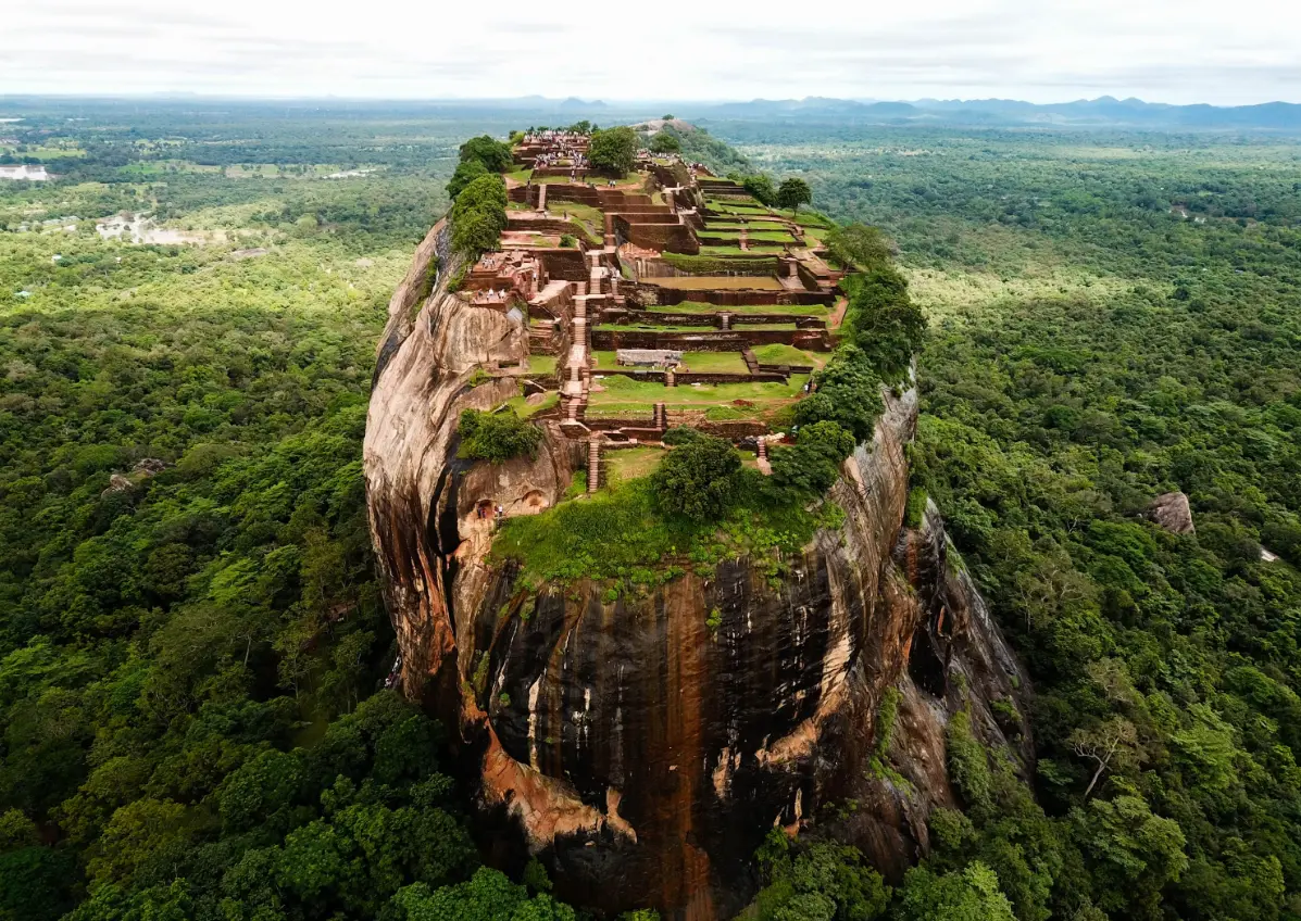 Sri Lanka tea fields